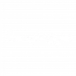 msj logo